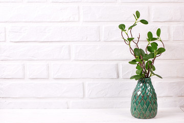 Branch of eucalyptus in green vase near by white brick wall.