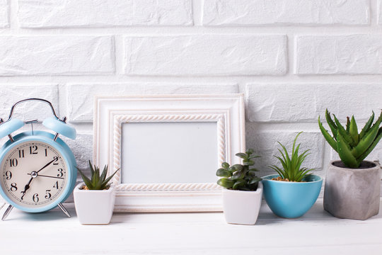 Empty frame mockup and succulents and cactus plants