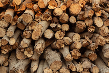 Stacked wood in the background