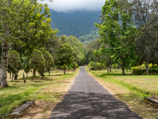 Fototapeta premium Bali Handara Garden Park And The Road Scenery At Bedugul, Bali, Indonesia, November 2018