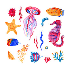 nautical elements, sea life, fish, seahorse, urchin, starfish watercolor illustration, isolated on white background