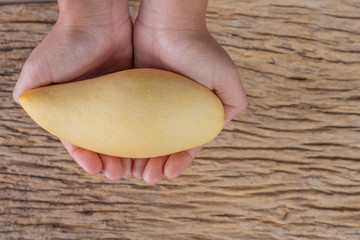 Mango placed on wooden floor.