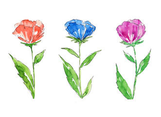 Watercolor flowers set isolated on white