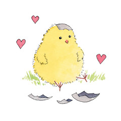 Watercolor cute Newborn chick isolated on white background 