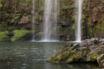 Fototapeta na wymiar The base of the Whangarei Falls in Northland, New Zealand.
