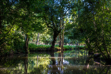 Obraz premium Marais Poitevin