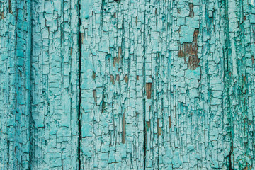 Texture of old blue green tree. Wooden texture background with scuffs, scratches, peeling paint