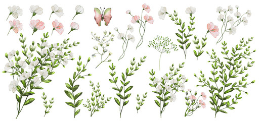Watercolor illustration. Botanical collection. Set of wild and garden flowers, leaves, branches and other natural elements. All drawings isolated on white background. Pink and white flowers. - 268462710