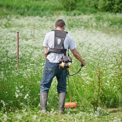 European man is mowing the lawn on his countryside plot.