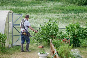 Gardener is working on his household plot, he is trimming the grass. © Artem