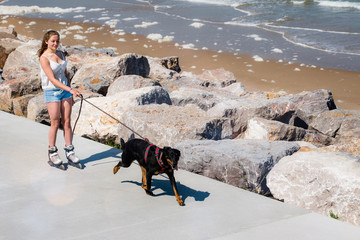 belle jeune fille faisant du cani cross avec des rollers