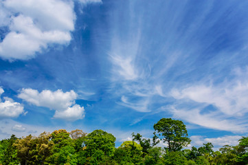 Obraz premium 青空と雲 （背景素材）