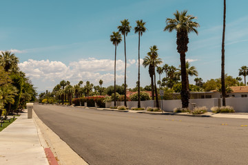 Obraz premium street of palm spring