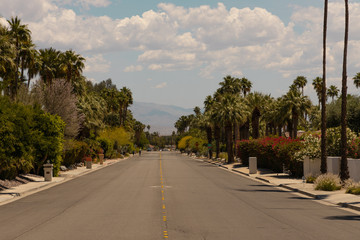 street of palm spring