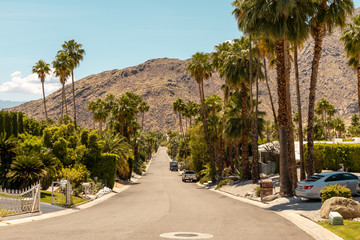 Fototapeta premium street of palm spring