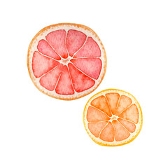 夏 トロピカルフルーツ パイナップル 水彩 イラスト Cosmetic Wall Mural Cosmet Tada