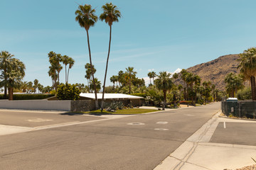 Fototapeta premium street of palm spring