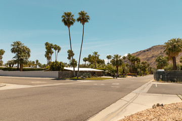 Obraz premium street of palm spring