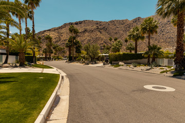 street of palm spring