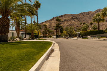 Obraz premium street of palm spring