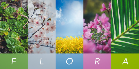 summer collage, natural background and texture, a collection of vertical images for your stories