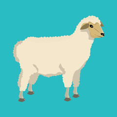 Sheep with flat and solid color design.