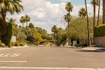 street of palm spring