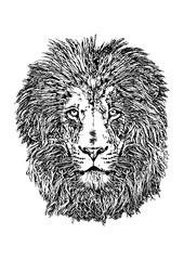 Lion Head Vector \illustration
