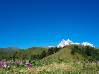 Mount Ushba in Svaneti. Georgia.