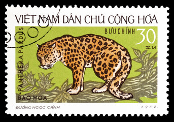 Cancelled postage stamp printed by Vietnam, that shows Panthera Pardus, circa 1972.