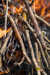 branches burning in the fire