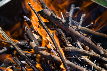 branches burning in the fire