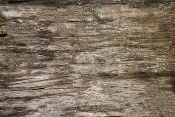 Old wooden board. Wood texture 