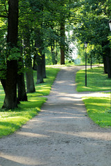 Park in the summer
