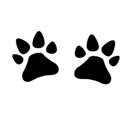 Paws dog - vector illustration