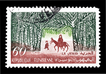 Cancelled postage stamp printed by Tunisia, that shows The Jerid, circa 1959