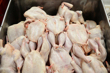Chicken carcasses are in the drawer at the meat factory. Horizontal frame. Meat processing.