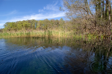 The sources of St. Naum. In some places, the waters become ink-blue - amazing.