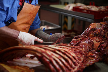 Meat processing worker splits horse carcass. Close-up of the hands of a worker. Heavy labor at work. Protective clothing. The concept of meat processing production.