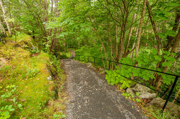 Old and steep pathway with metal railings through a green forest.