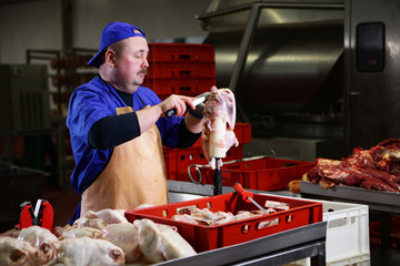 Close-up of the hands of a worker who cuts a chicken carcass at a meat factory. Persons not...