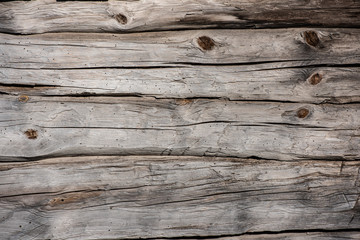 Fototapeta premium Old, untreated, grey wood wall.