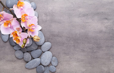 Obraz na płótnie Canvas Orchid beauty flowers on vintage background. Spa background, spa therapy, beauty. Spa treatment.