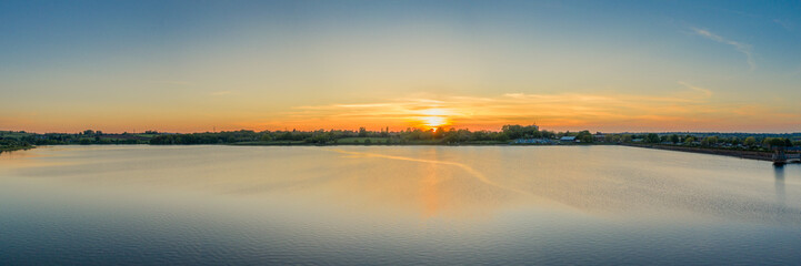 Cocker Spaniel Puppy