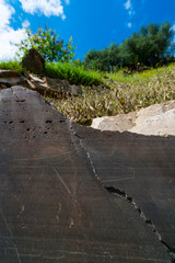 Engravings, Archaeological site, Ribeira de Piscos, Côa Valley, Western Iberia, Portugal, Europe, Rewilding Europe