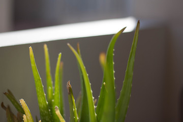 Un week end à Marseille