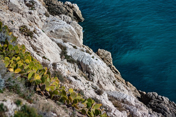 Un week-end à Marseille