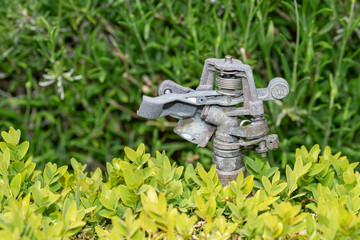 An Irrigation sprinkler at the edge of the garden ready to irrigate the dry grass and the end of the day