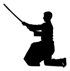 Aikido fighter vector silhouette isolated on white. Training action. Self defense exercising concept. Aikido instructor demonstrate skill with katana. Traditional warrior from Asia. Kendo fight.