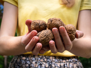 Young woman holds organic walnuts in hands.